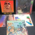 LOTE DE VINIL