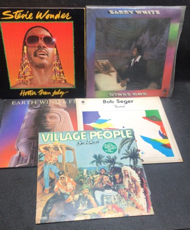 LOTE DE VINIL