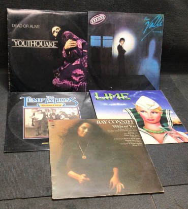 LOTE DE VINIL