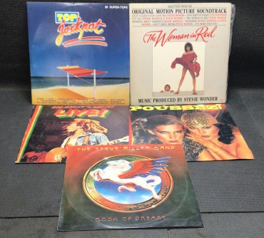 LOTE DE VINIL