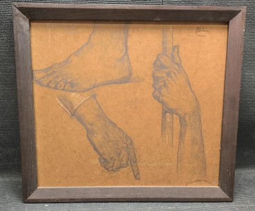 «Estudos anatómicos» - PORTELA JÚNIOR (1898-1985) 