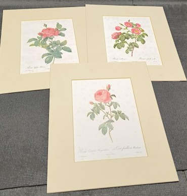 «Rosas» (3)