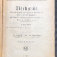 «Lote 2 Livros Escolares - anos 20 Escola Alemã de Lisboa»