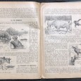 «Lote 2 Livros Escolares - anos 20 Escola Alemã de Lisboa»