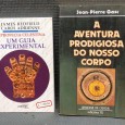 2 PUBLICAÇÕES