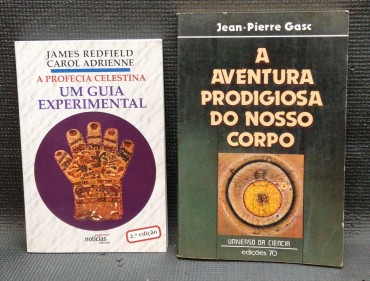 2 PUBLICAÇÕES