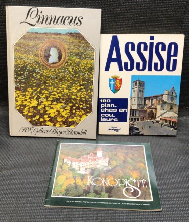 «Lote 3 Livros Turismo»