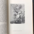 «Da Essência do Riso» 