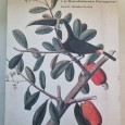 A AVENTURA DAS PLANTAS E OS DESCOBRIMENTOS PORTUGUESES