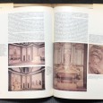 «A Arte de Michelangelo» 