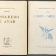 «O Segredo é Amar / Campo Aberto»