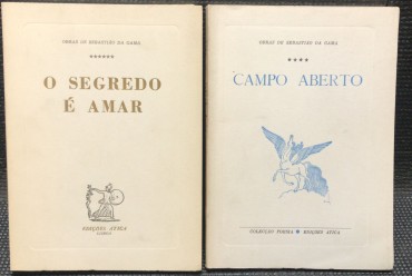 «O Segredo é Amar / Campo Aberto»