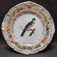 Prato «Quetzal»