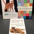 «Lote 3 Livros Gatos»
