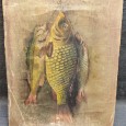 Peixes