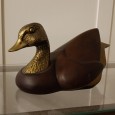 Pato