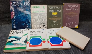 «Lote 8 Livros Diversos» 
