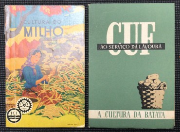 «Cultura do Milho / A Cultura da Batata»