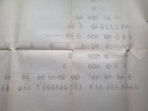 img-20250305-wa0079.jpg