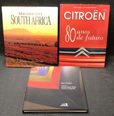«Lote 3 Livros» 