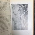 «Cartas a Maria-Luiza» 