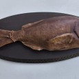 Peixe 