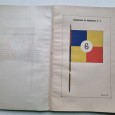 OS GUIÕES DA INFANTARIA
