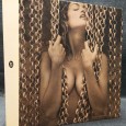 «Calendrier Pirelli 1964-2007»