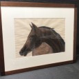 «Cavalos»