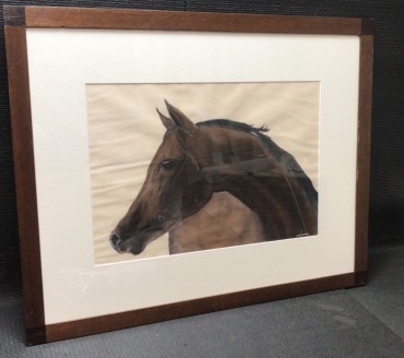 «Cavalos»