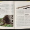 «Para Uma História do Povo Português - Raiz e Madrugada» 