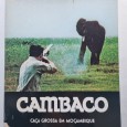 CAMBACO – CAÇA GROSSA EM MOÇAMBIQUE