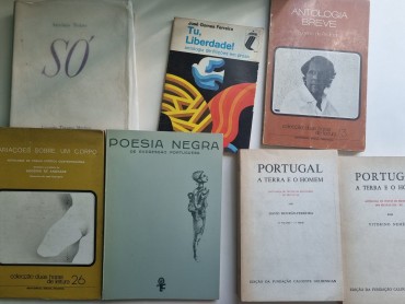 POESIA E LITERATURA