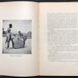 «Em Terras de Luenas»