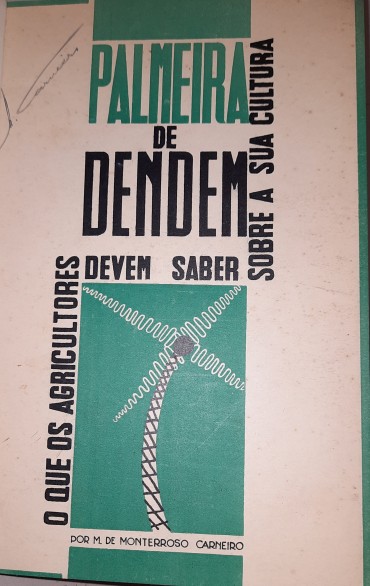 Palmeira Dendem o que os agricultores devem saber sobre a sua cultura