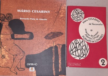 Dois Livros de e Sobre Mário Cezariny	de Vasconcelos