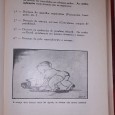 A Vida do Bebê