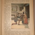 Mon Journal Année 1895-1896	