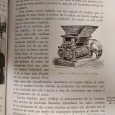 «El Aceite de Oliva: Extraccion Del Mismo»