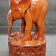 Elefante 