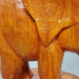 Elefante 