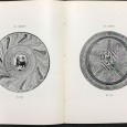 «Colecção Lázaro de Nova Iorque»