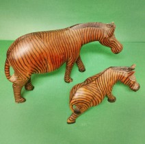 zebra-1.jpg