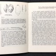 «A Pré-História da África»