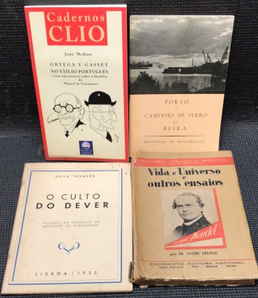 «Lote 4 Publicações» 