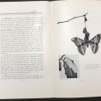 «Lote 3 Separatas Biologia e Oceanografia»