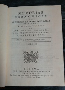 35-segunda-foto.jpeg