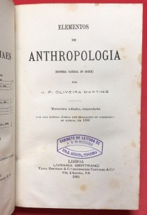 11-segunda-foto.jpg