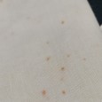 Toalha e quatro guardanapos (bordado a prateado)