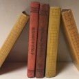 «Lote 5 Livros Júlio Dinis»